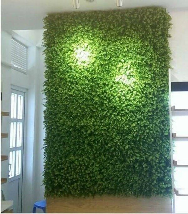 Mảng tường xanh hơn, đẹp hơn, tinh tế hơn, tiết kiệm hơn nhờ cỏ nhân tạo