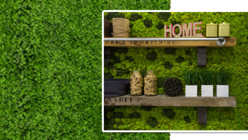 Nên xác định khu vực thi công cỏ nhân tạo trước khi tiến hành