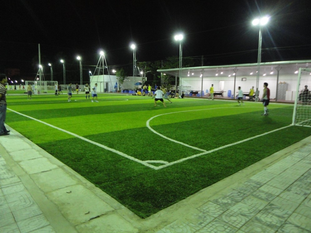 Thảm cỏ nhân tạo cần phải chăm sóc hằng ngày