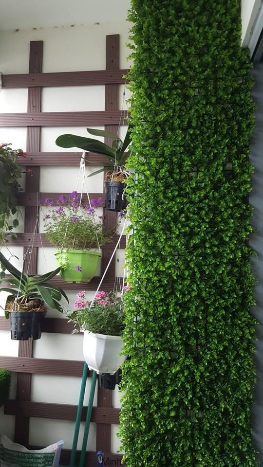 Thi công tường cây giả nhanh chóng chi phí thấp