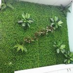 Các phương pháp thi công tường cây giả bạn đã biết chưa?