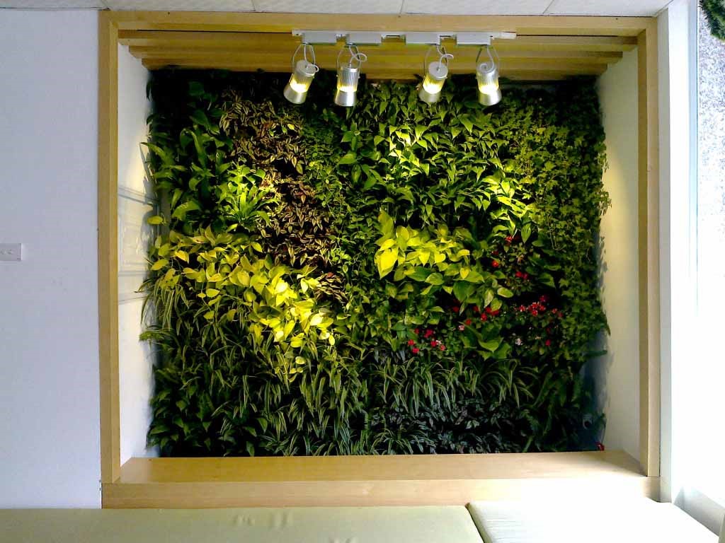 Tường cỏ nhân tạo - giải pháp trong hiện tại và thỏa mãn trong tương lai