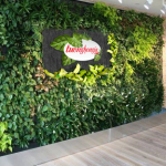 Lựa chọn cỏ nhân tạo chất lượng vô cùng đơn giản