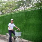 Cỏ nhân tạo trang trí và những bất ngờ bạn nên biết