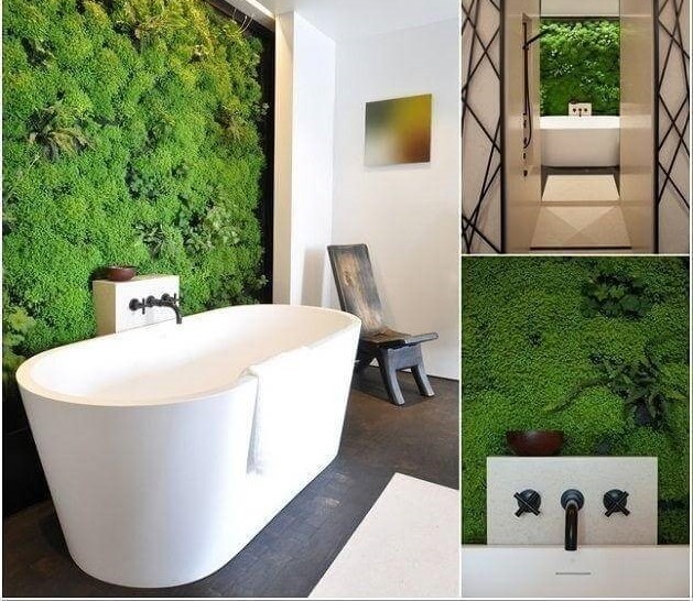 Cỏ lá nhựa được sử dụng nhiều trong trang trí