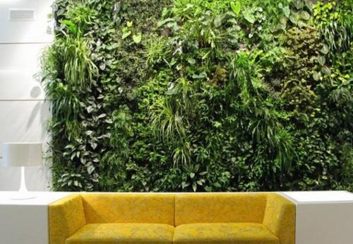 Cỏ nhân tạo trang trí tường nhà thêm độc đáo