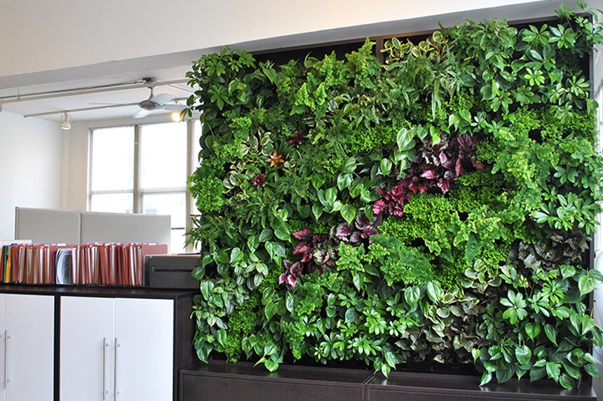 Cỏ nhân tạo treo tường ngày càng độc đáo