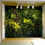 Cỏ nhân tạo dán tường đẹp mua ở đâu?