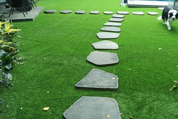 Cỏ nhựa nhân tạo trang trí sân vườn