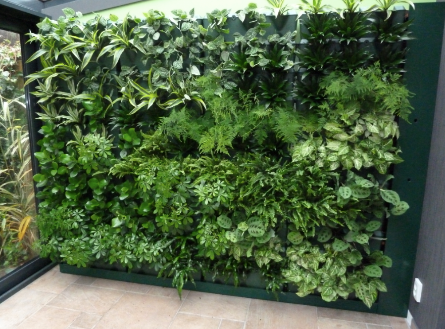 Tường cây giả không cần nguồn nước mà chúng vẫn tươi tốt theo thời gian