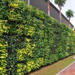 Vì sao nhiều người thích thi công tường cây giả