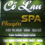 Thảm cỏ nhân tạo trang trí trong nhà và sân vườn và những điều bạn nên biết