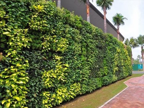 Cỏ nhân tạo trang trí không gian văn phòng