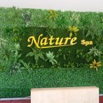 Chọn loại cỏ nhựa nhân tạo như thế nào cho phù hợp