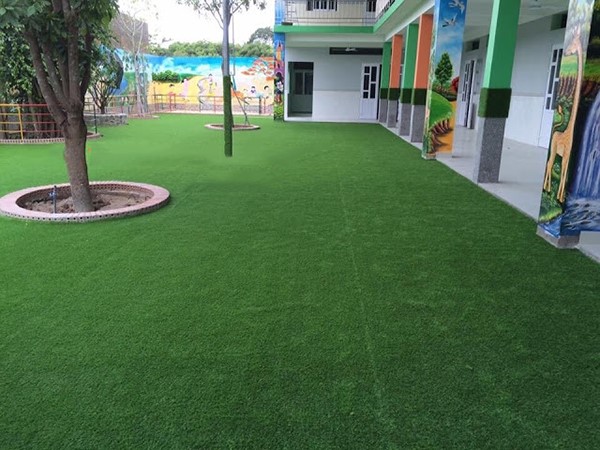 Cỏ nhựa nhân tạo trang trí trường học