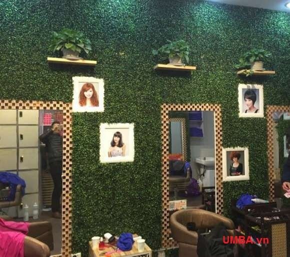 Lựa chọn sản phẩm cỏ nhựa trang trí chất lượng tốt nhất