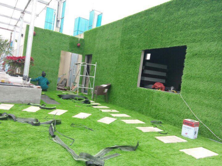 Thảm cỏ nhân tạo rất thích hợp cho không gian sân vườn hoặc là trang trí tường nhà