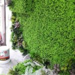 Đặc tính chung của vật liệu cỏ nhựa nhân tạo