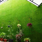 Cỏ nhựa trang trí tường mua ở đâu là rẻ nhất