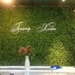 Thảm cỏ nhựa trang trí đẹp giá rẻ – sự lựa chọn cho mọi gia đình