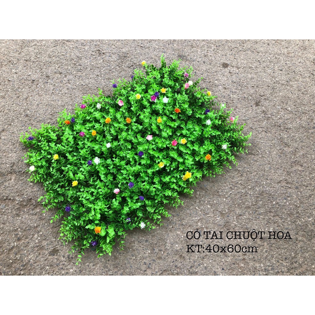 Cỏ nhựa  tai chuột hoa trong trang trí