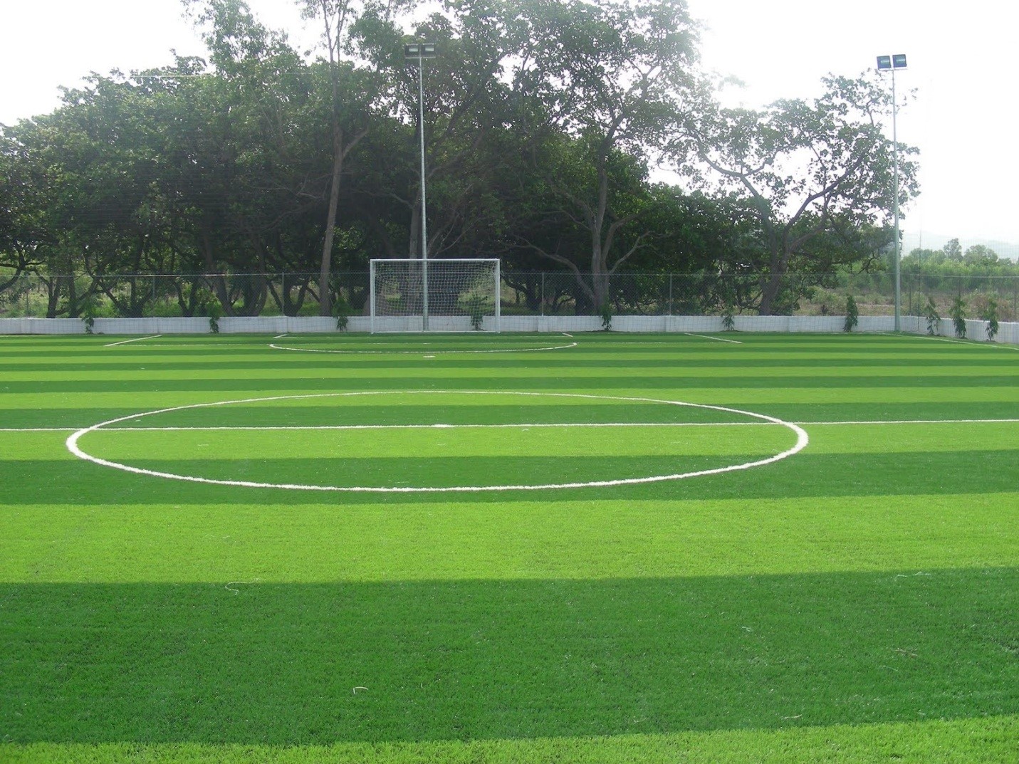 Cỏ nhân tạo sân bóng ngày càng được đầu tư