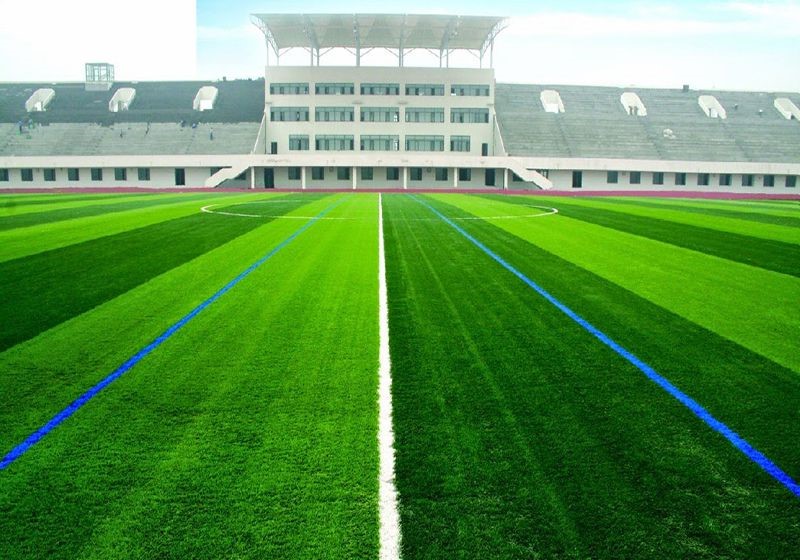 Cỏ sân bóng đá giá rẻ