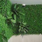 Tác dụng trang trí của thảm cỏ tai chuột trong đời sống