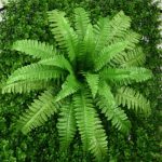 Một số thông tin cần thiết về các sản phẩm cỏ nhựa nhân tạo trang trí