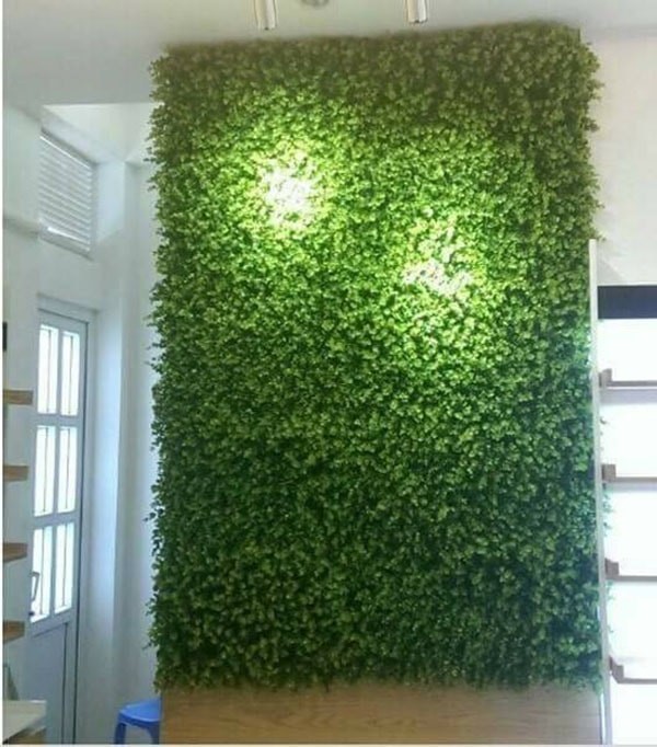 Bức tường cây lá xanh mướt sẽ tạo nên một không gian lý tưởng gần gũi với thiên nhiên