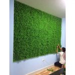 Lưu ý khi chọn thảm cỏ sân vườn cho mọi gia đình