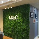 Tìm hiểu mục đích sử dụng cỏ nhân tạo