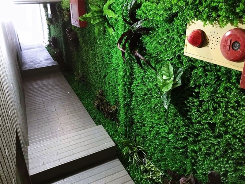 Thành công hơn với công trình tường cây giả