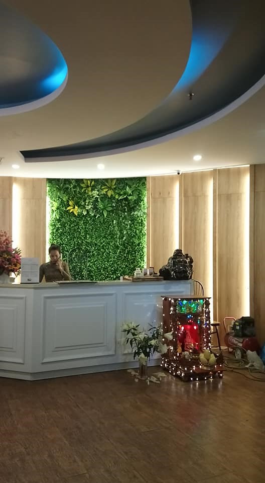 Tường cỏ nhựa nhân tạo trang trí khách sạn