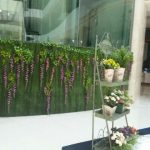 Sử dụng hạt cao su dởm trên sân cỏ sao không?