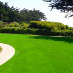 Cỏ nhựa nhân tạo không bị ảnh hưởng bởi thời tiết