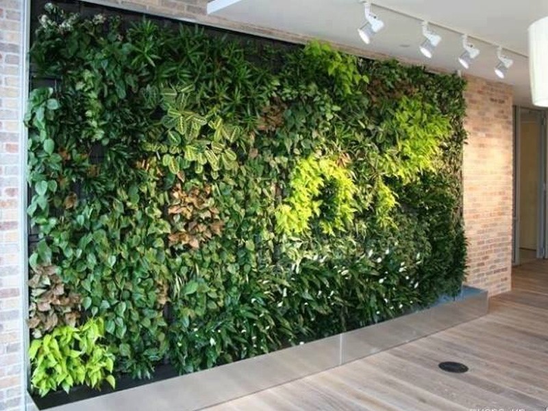 Màu sắc chủ đạo của quán cafe được trang trí cỏ màu xanh thảm cỏ