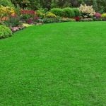 Những lợi ích khi mua cỏ nhựa nhân tạo tại chúng tôi