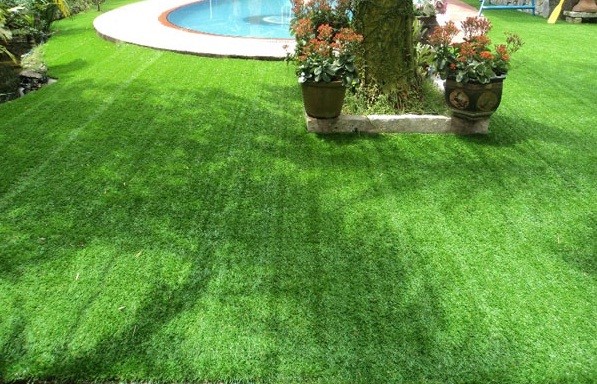 Sân cỏ nhân tạo là sự lựa chọn thông minh đối với các tòa nhà