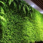 CÁC MẪU THIẾT KẾ CỎ NHÂN TẠO ĐẸP CHO SÂN VƯỜN