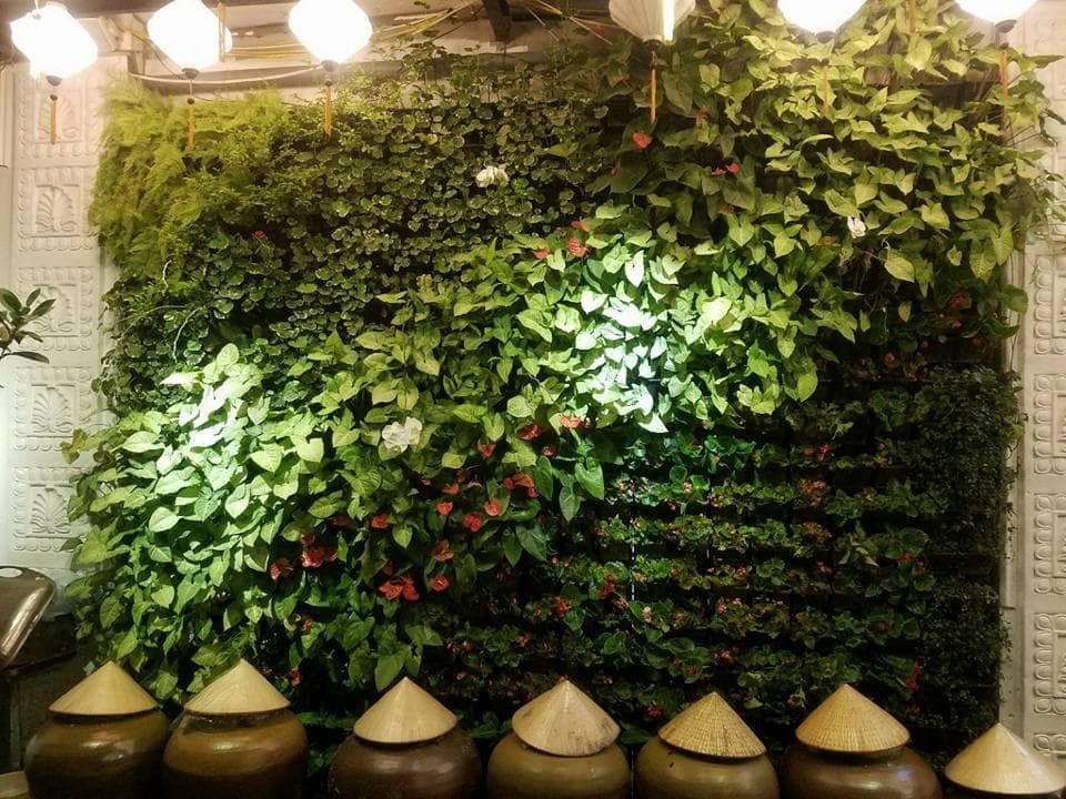 Tường cây giả giúp ngôi nhà của bạn thêm đẹp