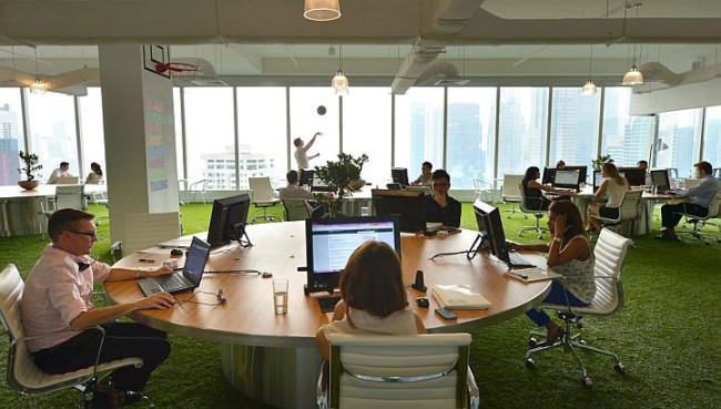 Cỏ nhựa nhân tạo trang trí văn phòng