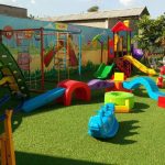 CỎ NHÂN TẠO VÀ HÀNH TRÌNH KHẲNG ĐỊNH BẢN THÂN