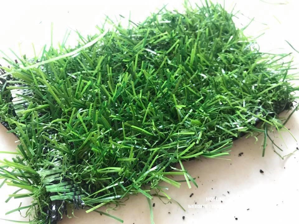 Cỏ nhân tạo kém chất lượng
