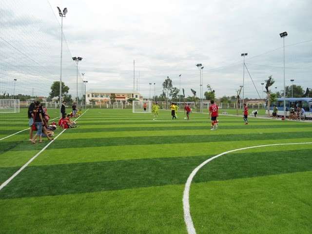 Chất lượng cỏ đang được đầu tư nhiều hơn