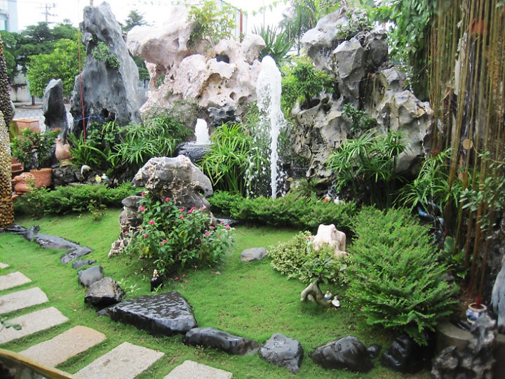 Cỏ tự nhiên đem đến nhiều sự thú vị