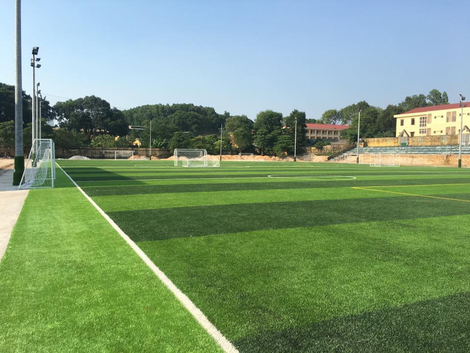 Sân bóng cỏ nhân tạo có nhiều lợi thế khi đầu tư