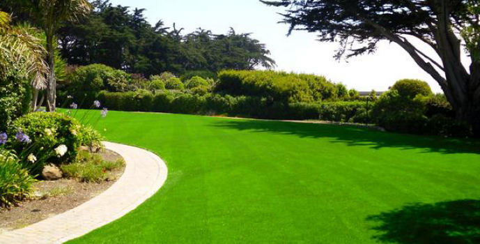 Chọn cỏ nhân tạo cho sân vườn nên chú ý đến nhiều tiêu chí