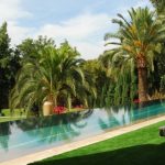 Vệ sinh sân vườn cỏ nhân tạo và những mẹo cực hay (Phần 2)