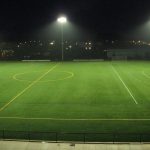 Mức giá cỏ nhân tạo phụ thuộc vào những yếu tố nào?